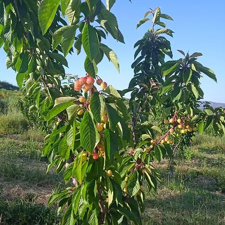 Quinta Do Passadiço *